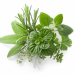 Hormonal Imbalances And Your Health