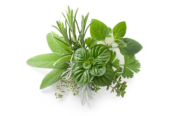 Hormonal Imbalances And Your Health