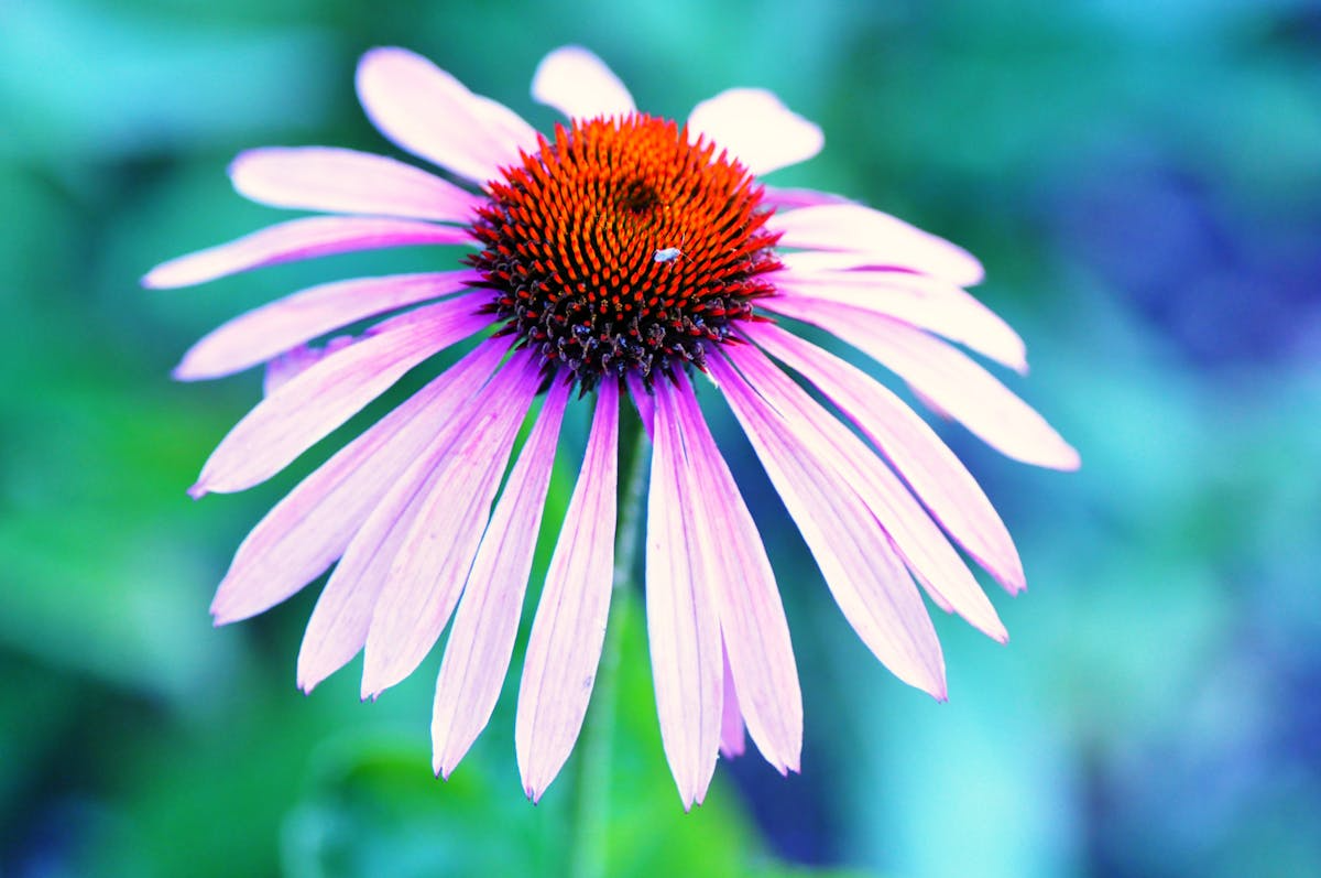 A Conscious Approach To Self-Care Is An Approach Built On The 'Terrain Theory'