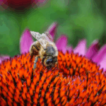 A Conscious Approach To Self-Care Is An Approach Built On The 'Terrain Theory'